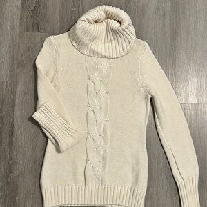 Gap Chunky Turtleneck Sweater